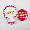summer melamine dinnerware